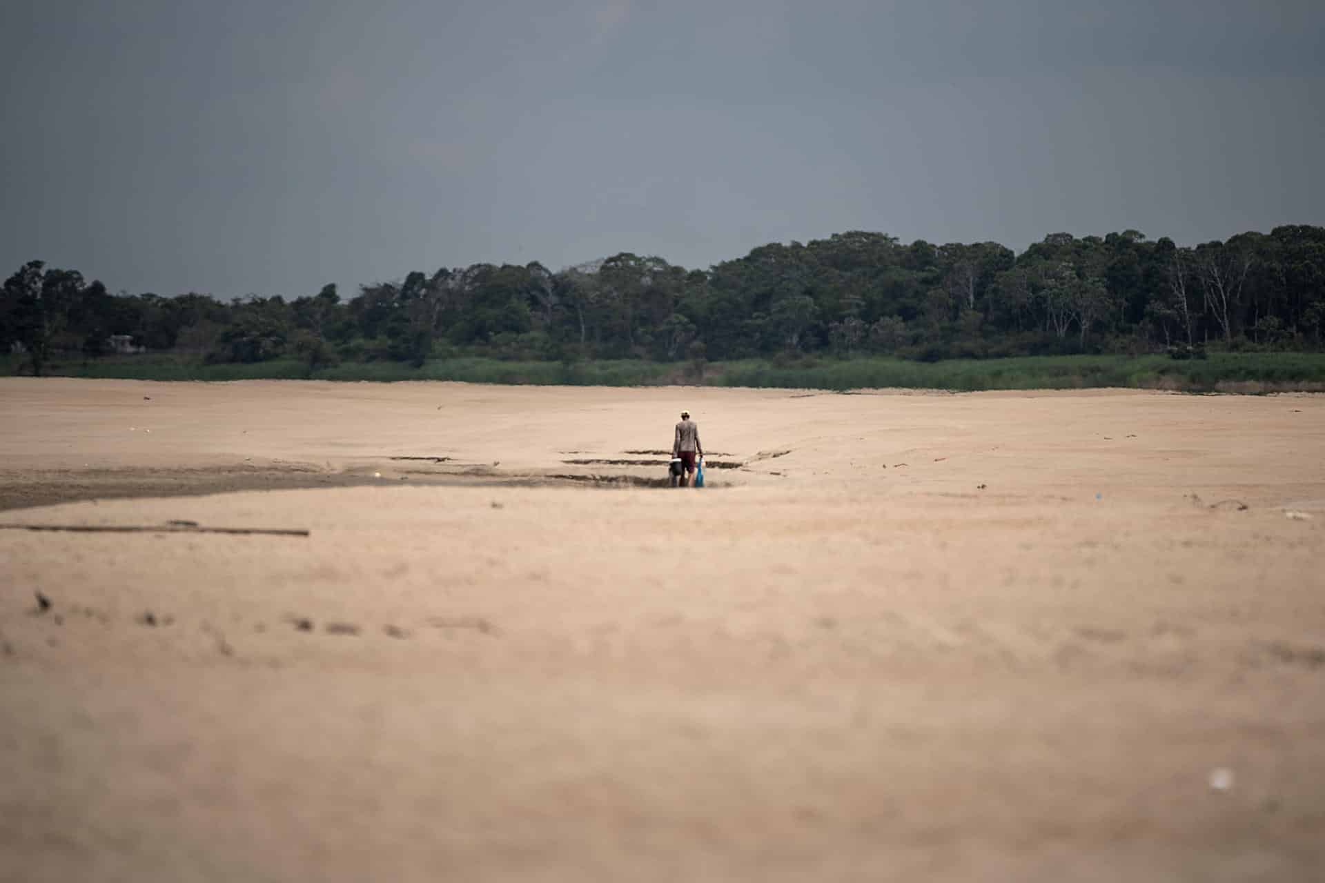 Ríos de la Amazonía brasileña están en sus mínimos históricos