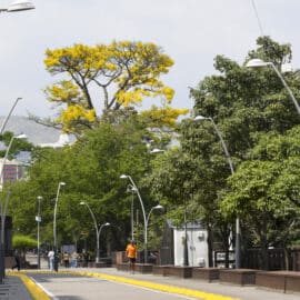 ¿Por qué Cali es una ciudad atractiva para turistas?
