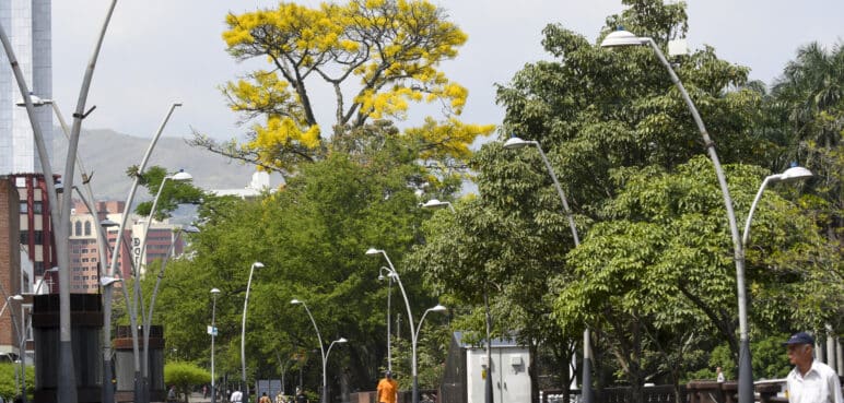 ¿Por qué Cali es una ciudad atractiva para turistas?