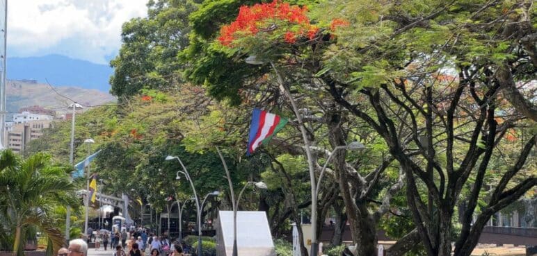 La COP16 le apuesta a evitar el uso de plásticos y el cuidado de los residuos con el medio ambiente