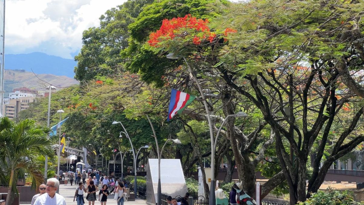 La COP16 le apuesta a evitar el uso de plásticos y el cuidado de los residuos con el medio ambiente