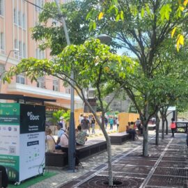Economía de la biodiversidad y ciudades sostenibles, temas importante en la COP16 ¿De qué se trata?
