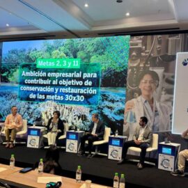 La industria empresarial presenta avances en pro del medio ambiente en la COP16