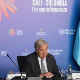 ONU renueva la Misión de Verificación de paz en Colombia