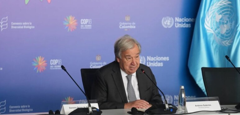 ONU renueva la Misión de Verificación de paz en Colombia