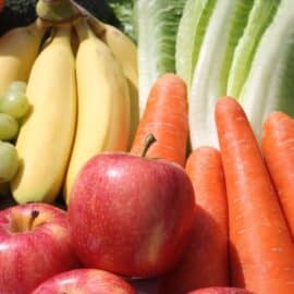 ¿Cuál es la diferencia entre el tipo de alimentación vegetariana y vegana?