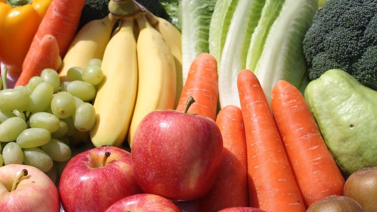 ¿Cuál es la diferencia entre el tipo de alimentación vegetariana y vegana?