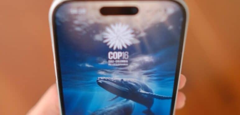 Lanzamiento de la App 'COP16: Paz con la Naturaleza' ¿Qué se podrá encontrar?