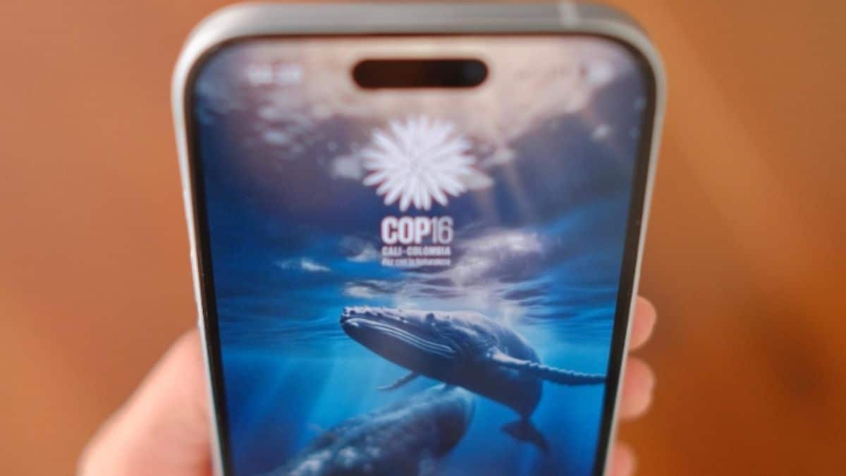 Lanzamiento de la App 'COP16: Paz con la Naturaleza' ¿Qué se podrá encontrar?