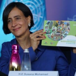 ¿Cuáles son las metas mundiales para el 2030 en la COP16? Este es el Plan de Acción del Marco