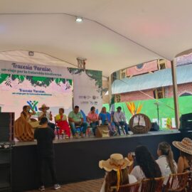 Conozca la agenda de este viernes en la 'Zona Verde' de la COP16