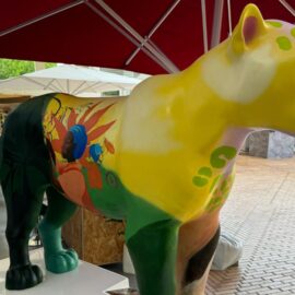 El papel del jaguar en la COP16: Conozca la historia ancestral detrás