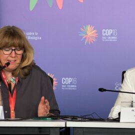 Quinto día de la COP16, ¿Que temas se trataron en la 'Zona Azul'?