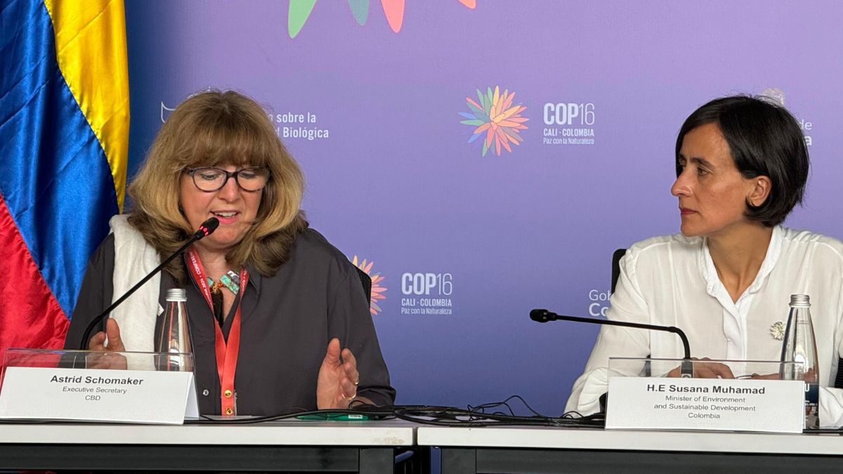 Quinto día de la COP16, ¿Que temas se trataron en la 'Zona Azul'?