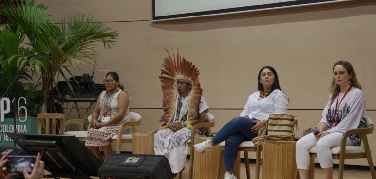 El papel de las comunidades indígenas en la COP16, para la preservación de la biodiversidad