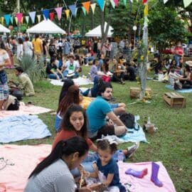 Cali celebra el Festival Ecológico este sábado: En donde y a qué horas puede asistir