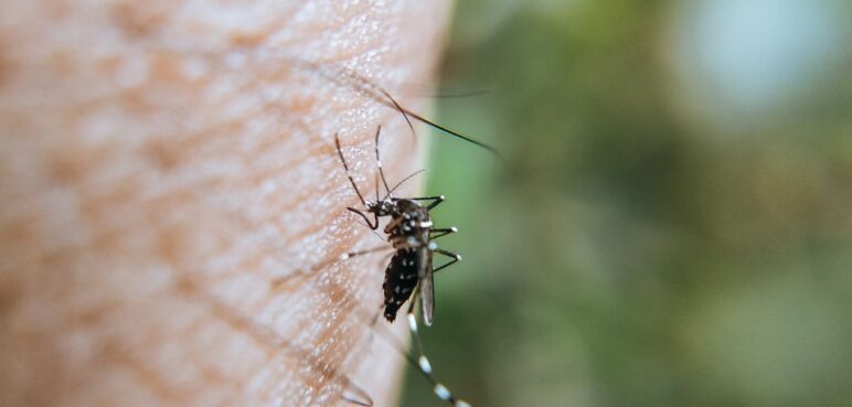 Conozca la programación de fumigación contra el dengue en Cali: desde el 9 al 11 de octubre