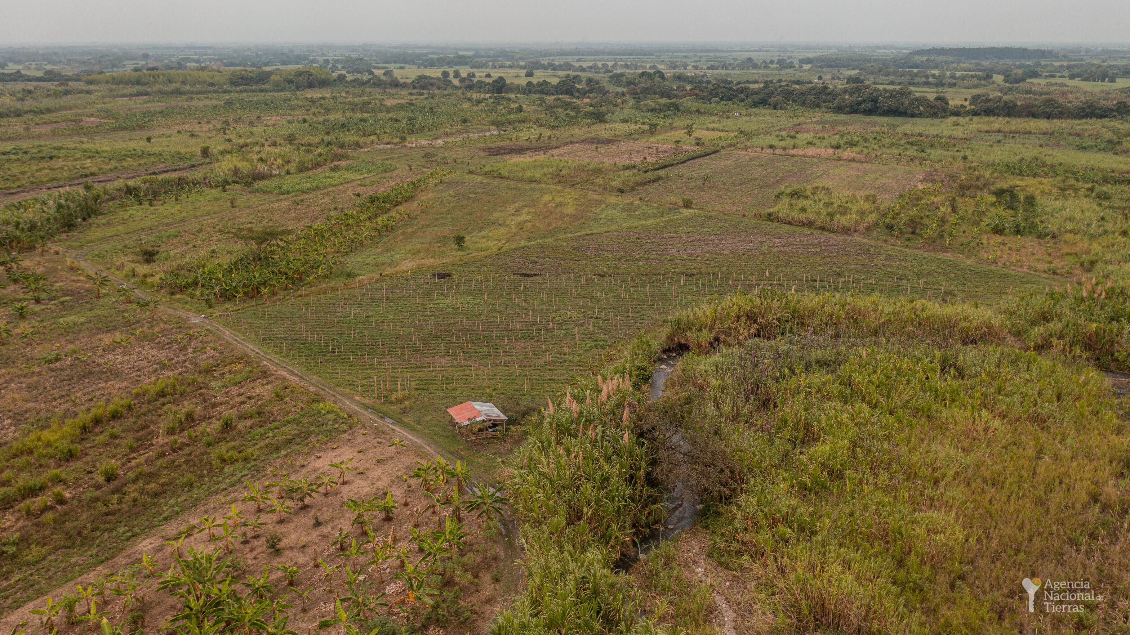 Entregan más de mil hectáreas de tierras a comunidades en el norte del Cauca