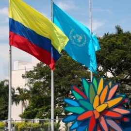 Colombia, epicentro mundial de la biodiversidad: Todo lo que debes saber sobre la COP16