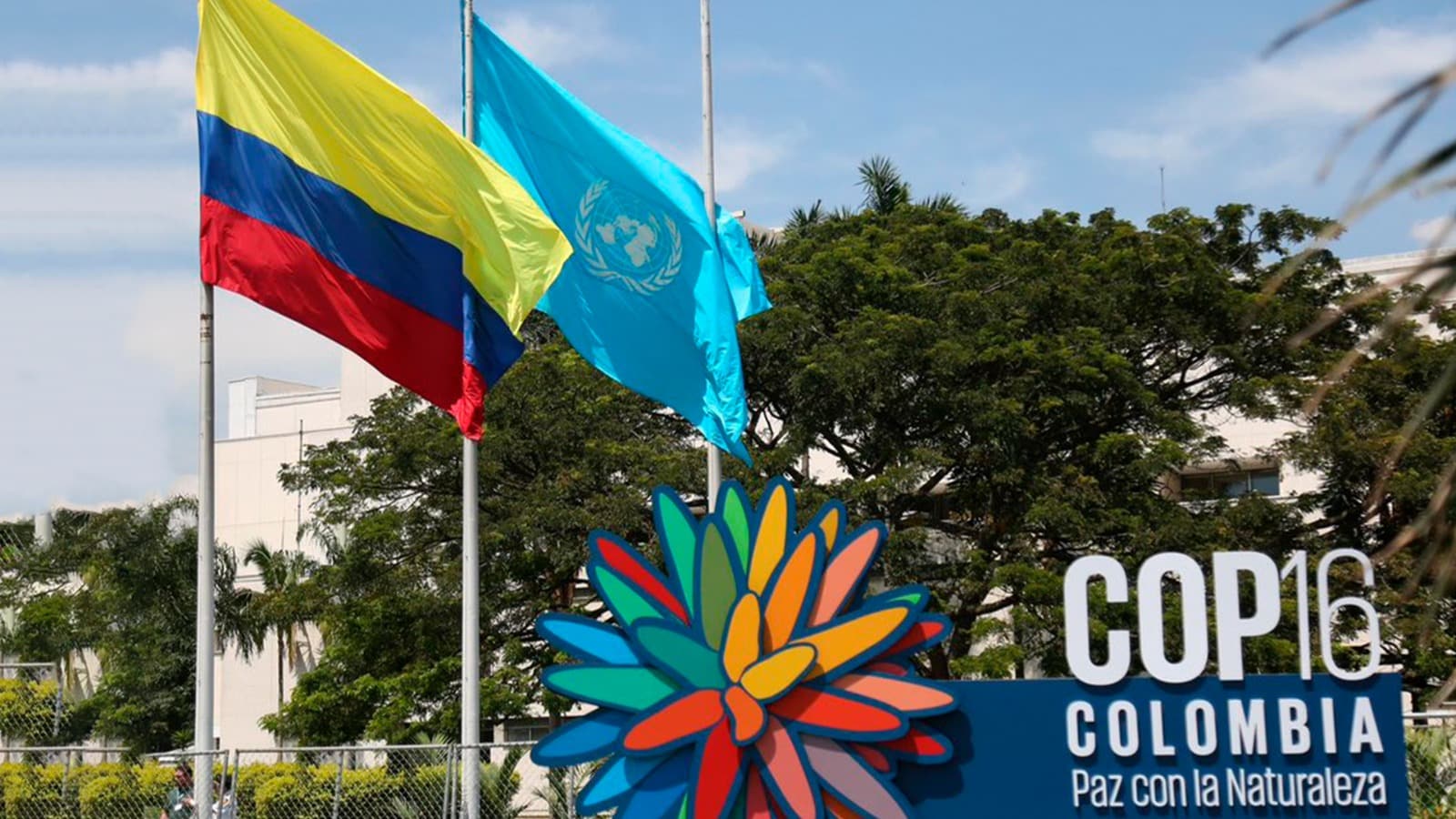 Oficialmente, inició la COP16 en Cali: así se vivió la ceremonia de inauguración