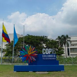 La Zona Azul de la COP16 está lista para la conferencia, conozca los detalles