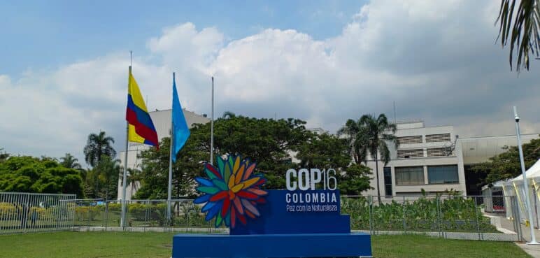 La Zona Azul de la COP16 está lista para la conferencia, conozca los detalles