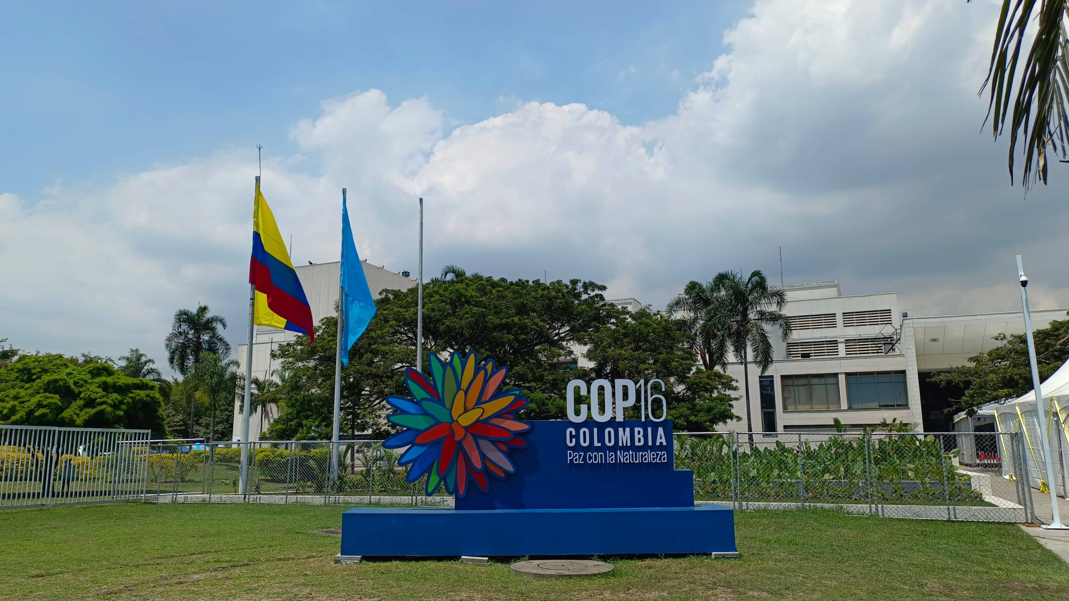 La Zona Verde de la COP16, un espacio para la “reconciliación con la naturaleza”