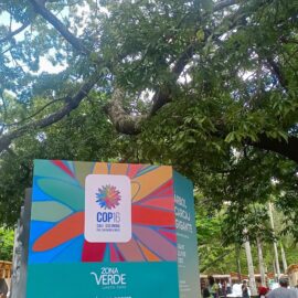 Conozca la agenda de este lunes en la 'Zona Verde' de la COP16
