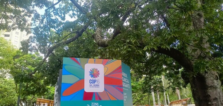 Conozca la agenda de este lunes en la 'Zona Verde' de la COP16