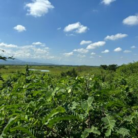 Omaira Rendón, el ‘ángel guardián’ de la Laguna de Sonso