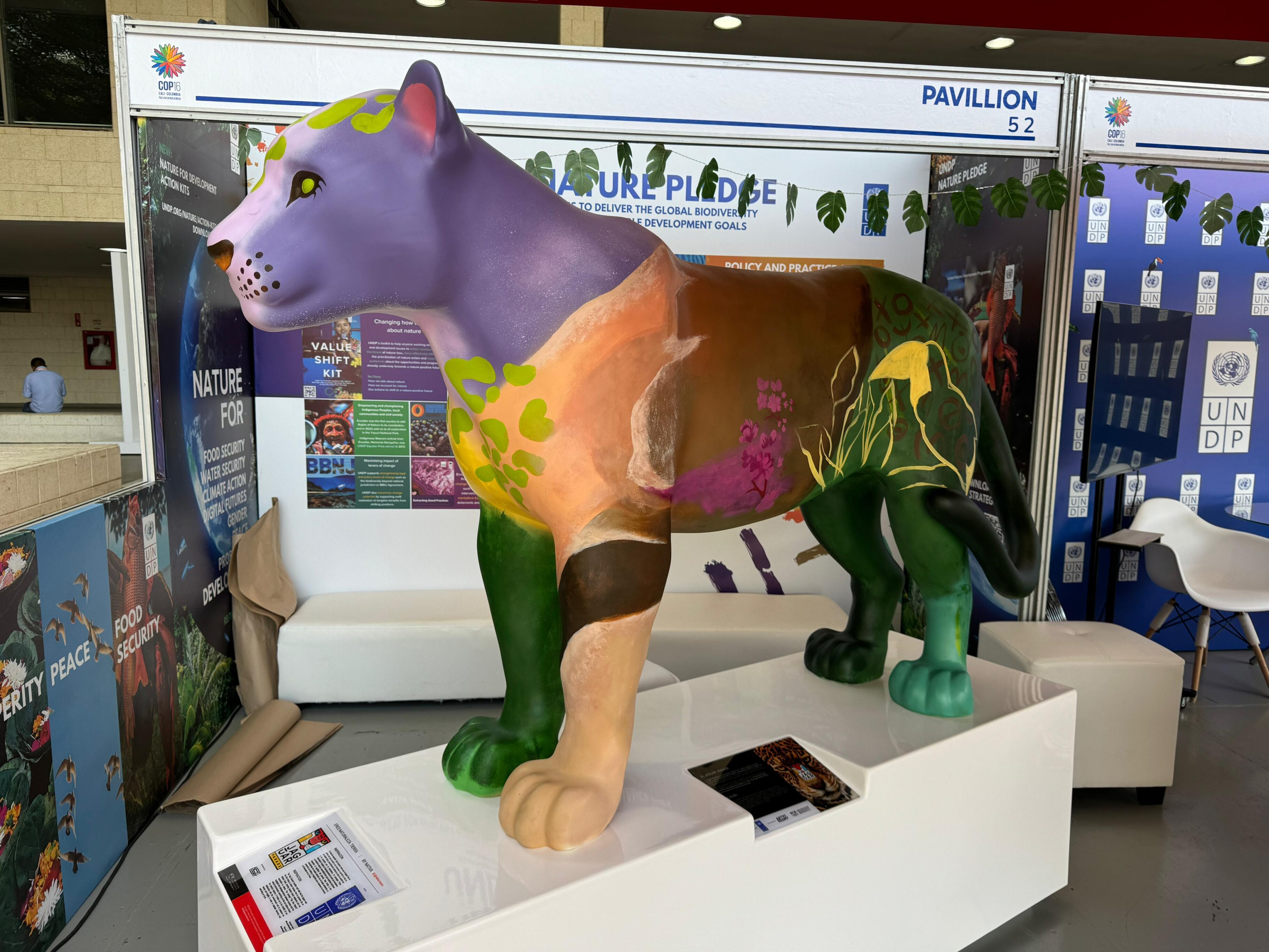 jaguar en la COP16