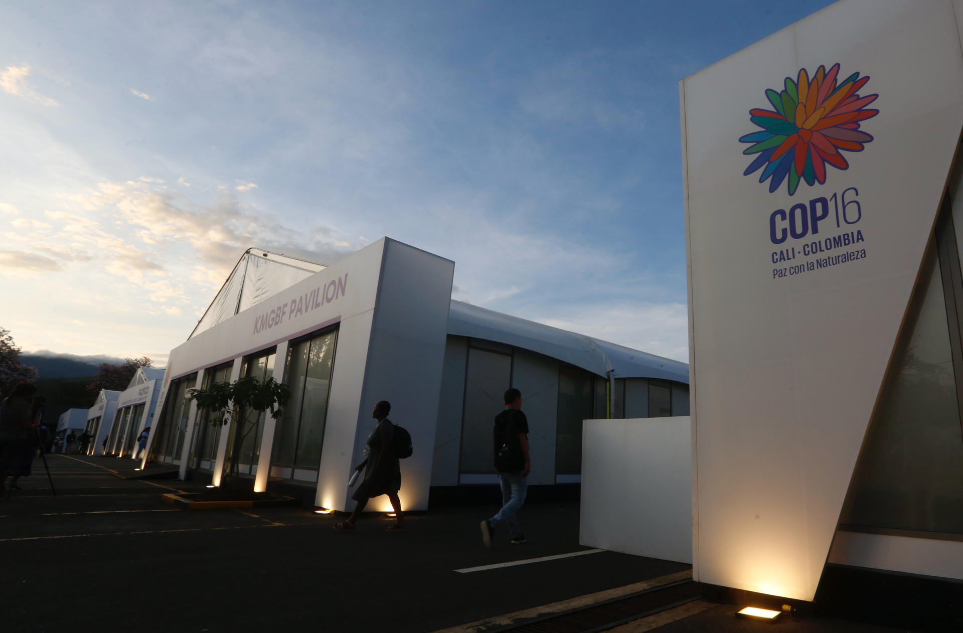 Conozca la agenda de este lunes en la 'Zona Verde' de la COP16