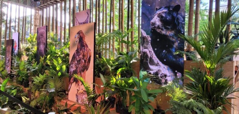 Guardianes de la biodiversidad: comunidades indígenas en la conservación de la Amazonía