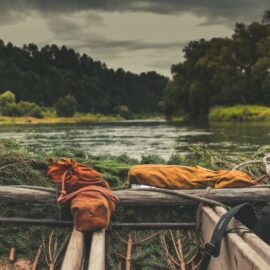 ¿Qué es la Declaración de los Derechos de la Amazonía? Pilar de la conservación natural