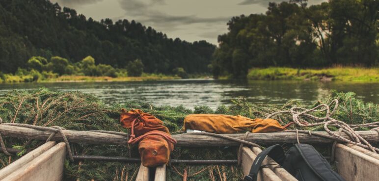 ¿Qué es la Declaración de los Derechos de la Amazonía? Pilar de la conservación natural