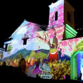 'Cali es Donde Debes Estar': el mapping que homenajea a la riqueza biodiversa de la ciudad