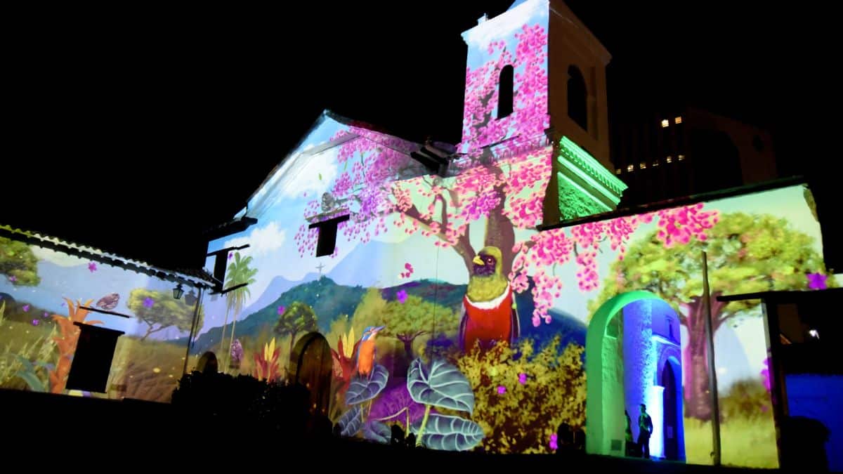 'Cali es Donde Debes Estar': el mapping que homenajea a la riqueza biodiversa de la ciudad