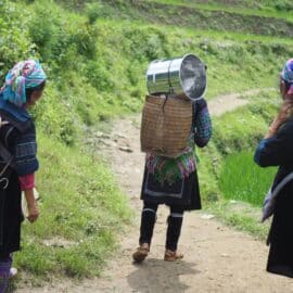 Declaración de Inírida: una apuesta a la participación femenina en la COP16