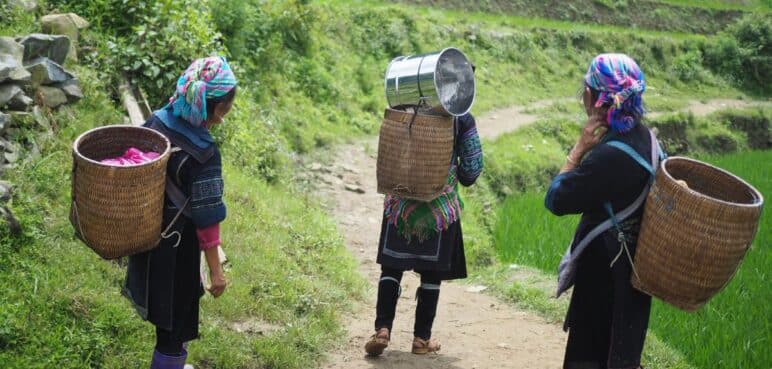 Declaración de Inírida: una apuesta a la participación femenina en la COP16