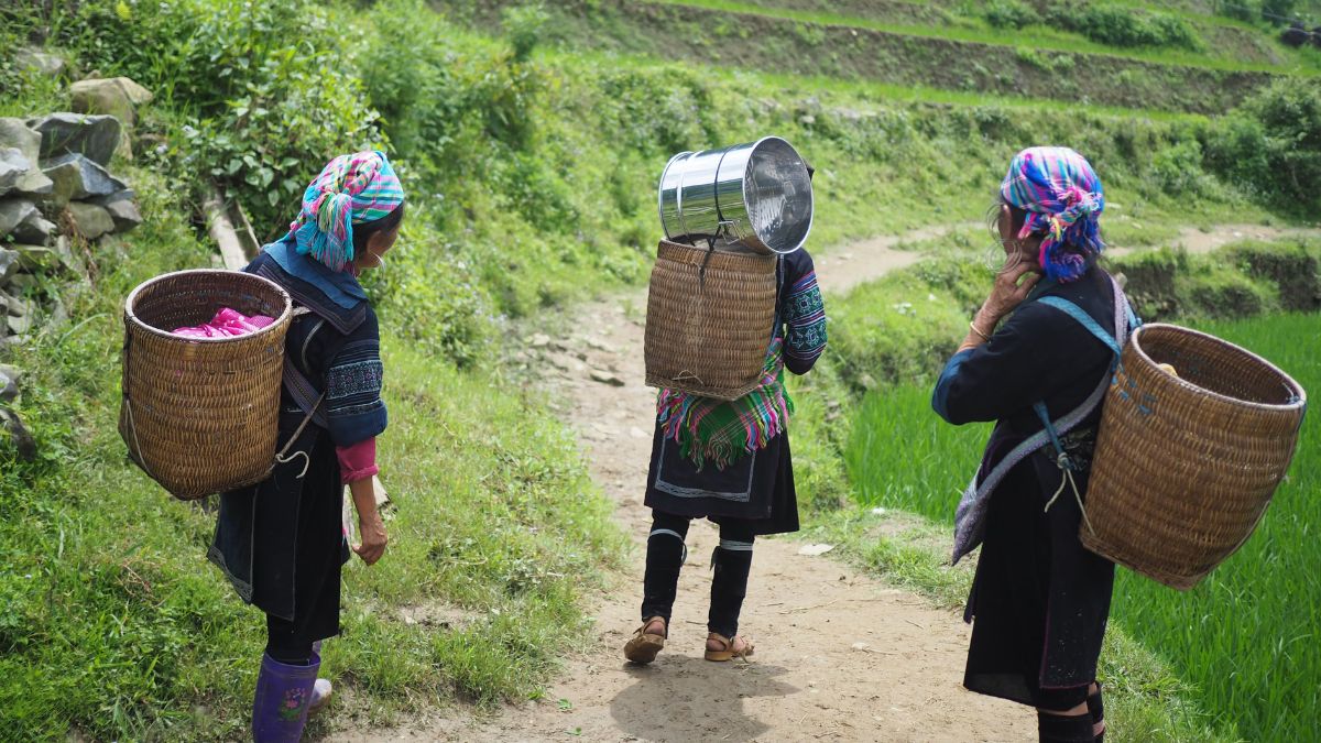 Declaración de Inírida: una apuesta a la participación femenina en la COP16
