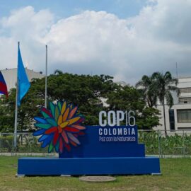 Zona Azul de la COP16: conozca la agenda para este martes, 29 de octubre