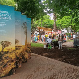 Este es el panorama del primer día de la Zona Verde de la COP16