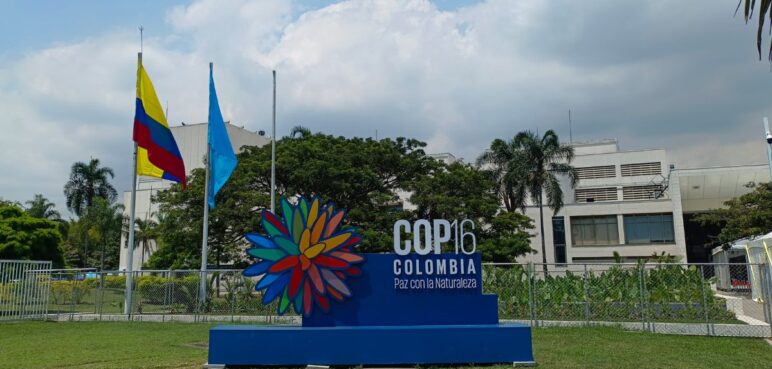 Último día de Zona Azul de la COP16: conozca la agenda para este viernes, 1 de noviembre
