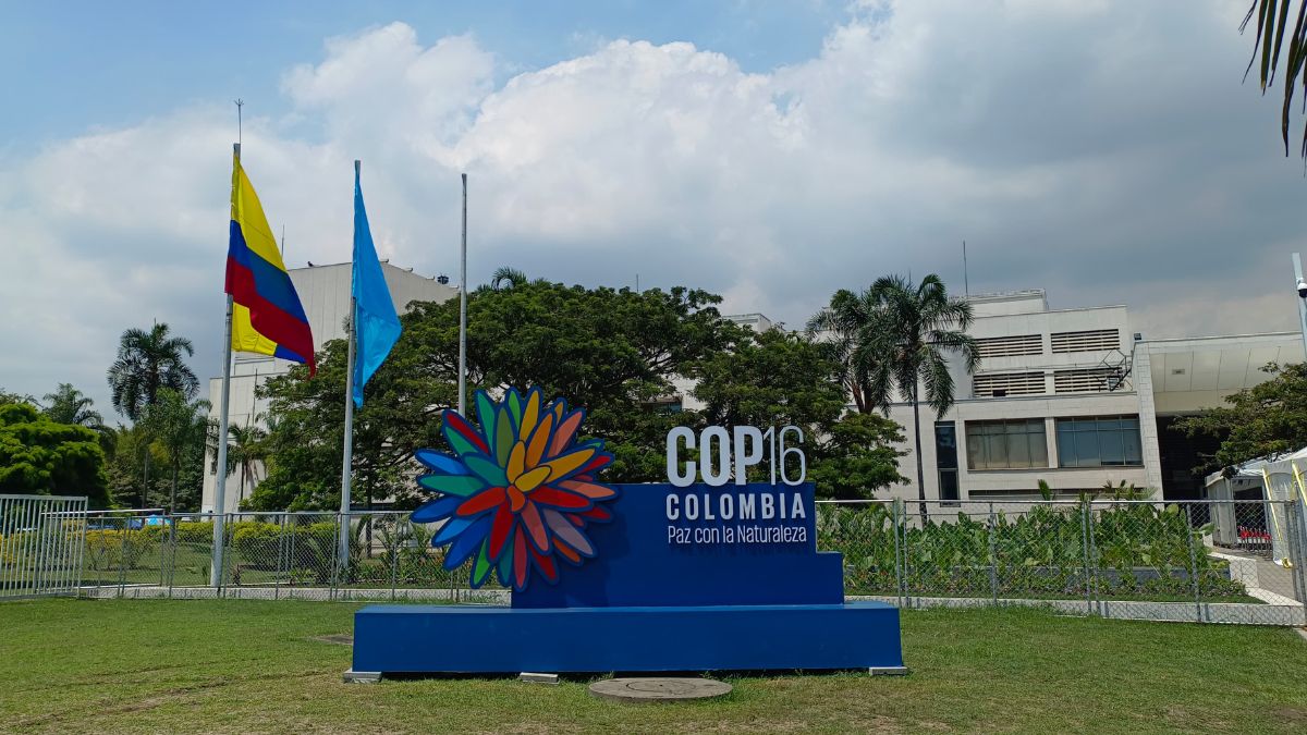 Último día de Zona Verde de la COP16: conozca la agenda para este viernes, 1 de noviembre