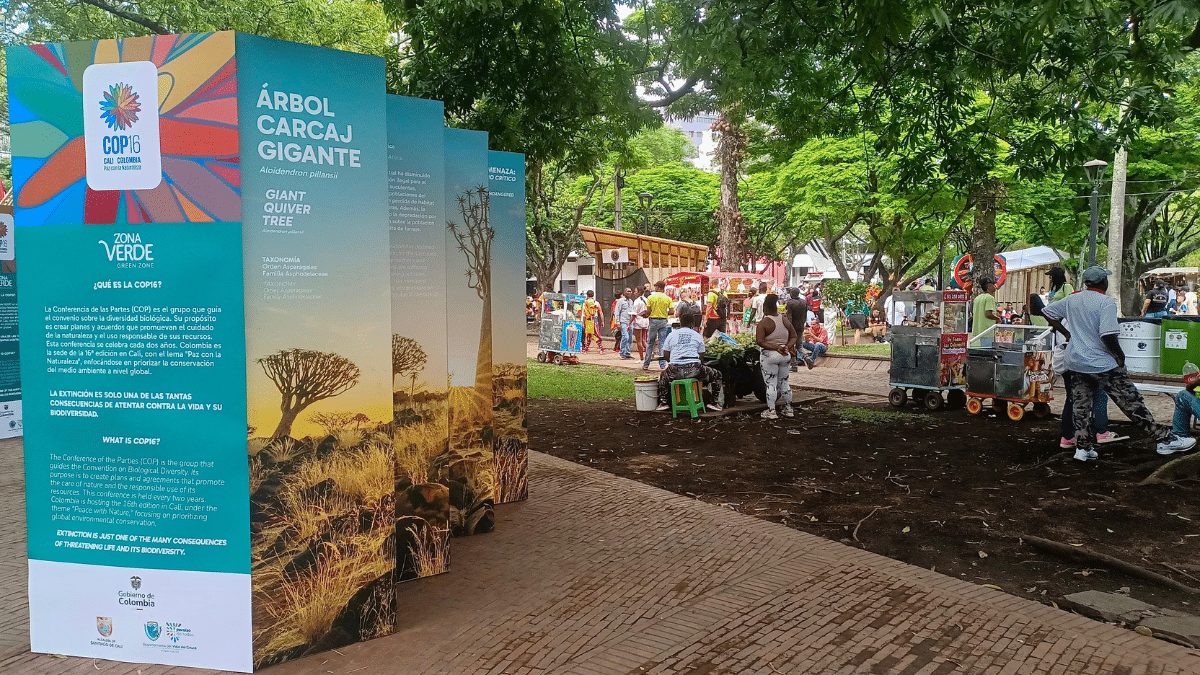 Este es el panorama del primer día de la Zona Verde de la COP16