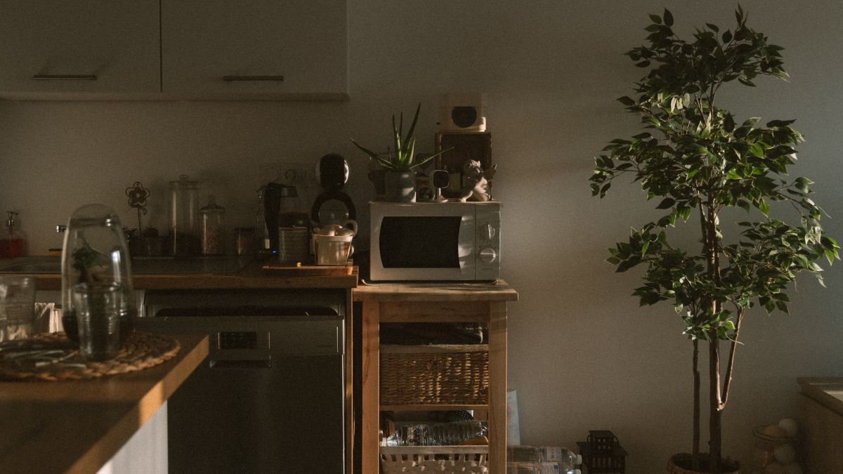 Lista de los electrodomésticos que no debería desconectar en su casa, ¿por qué razón?