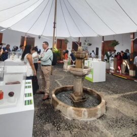 Empresas BIC: una mirada sostenible de las organizaciones en la COP16