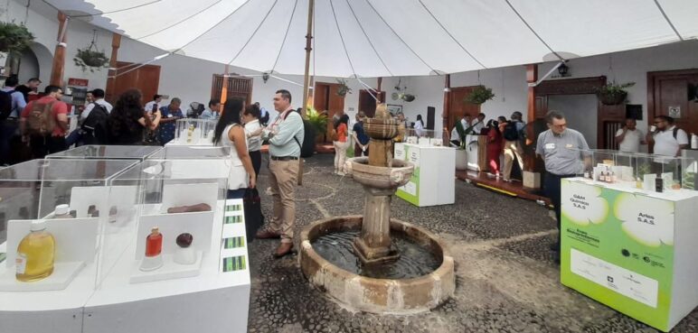 Empresas BIC: una mirada sostenible de las organizaciones en la COP16