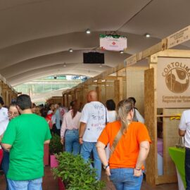 Impacto económico de la COP16: revelan cifras tras masiva participación ciudadana