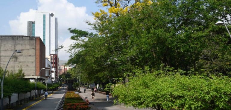 Cali vivirá la Semana de la Biodiversidad 2025: conozca los eventos que se realizarán